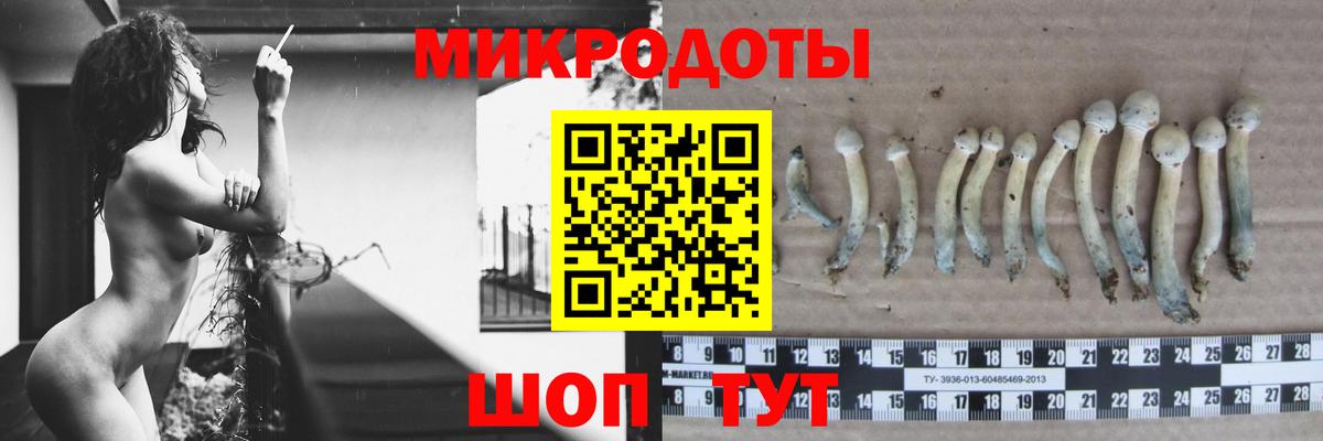 Псилоцибиновые грибы мухоморы Новоуральск